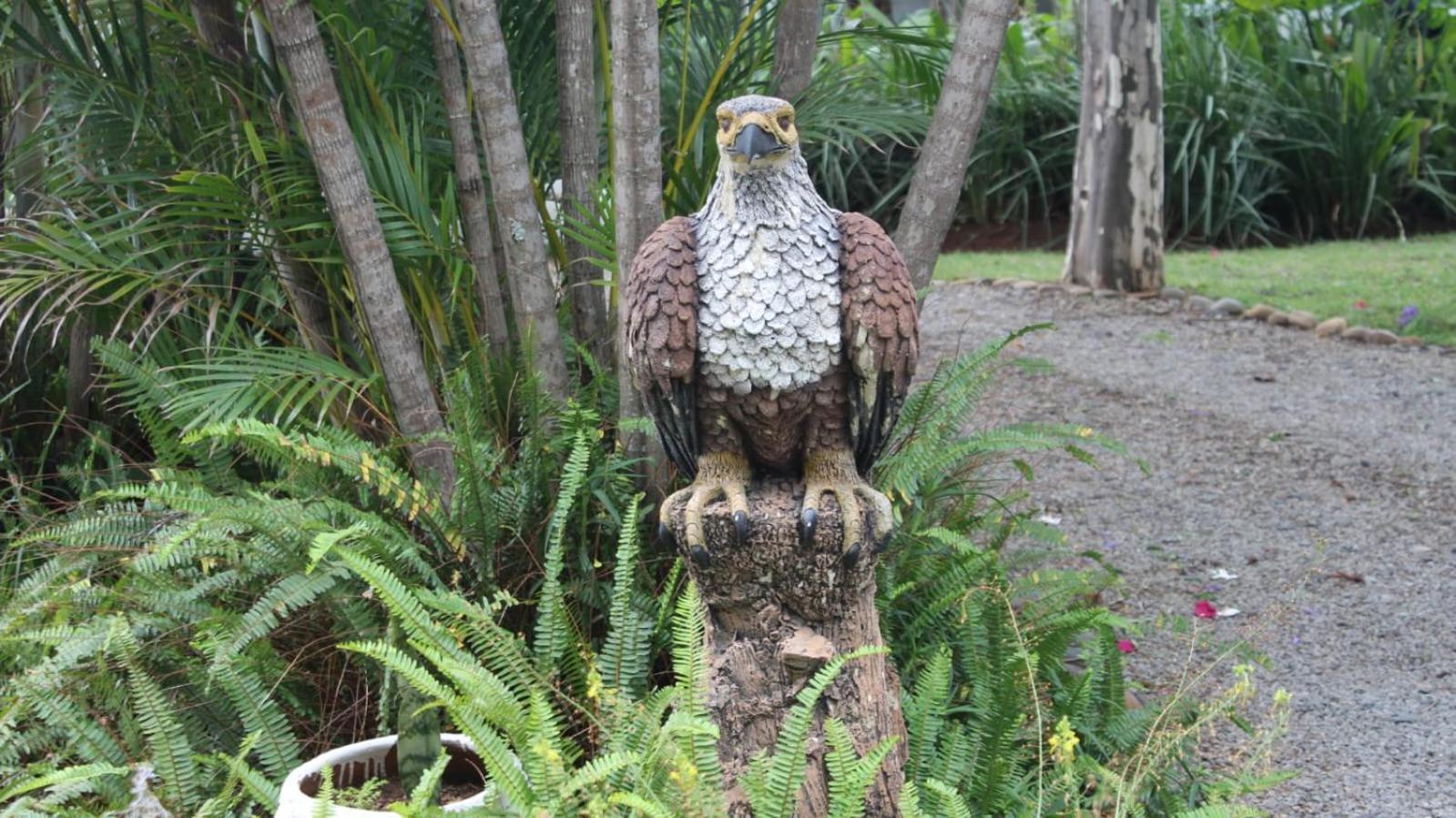 ホテル Eagle'S Nest バーバートン エクステリア 写真
